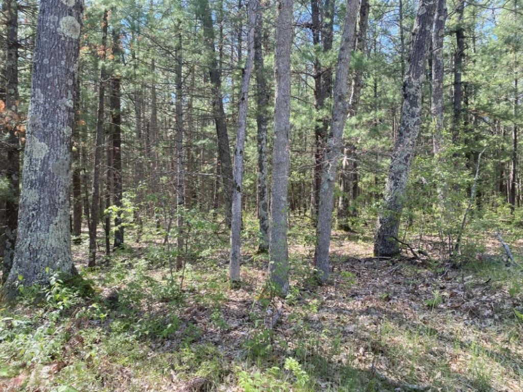 0 North Kettle Hole Road Manistee, MI 49660 - Photo 10 of 12 UNADJUSTEDNONRAW_thumb_6f43