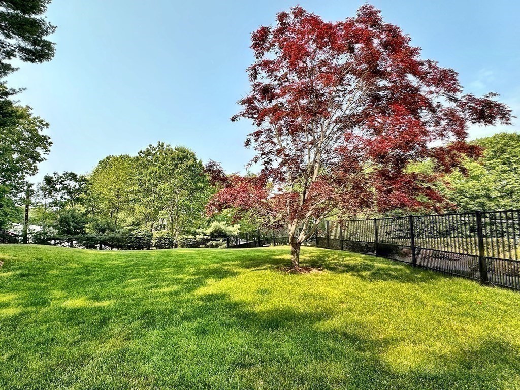 31 Hickory Lane Hudson, MA 01749 - Photo 32 of 40 a backyard of a house with lots of green space