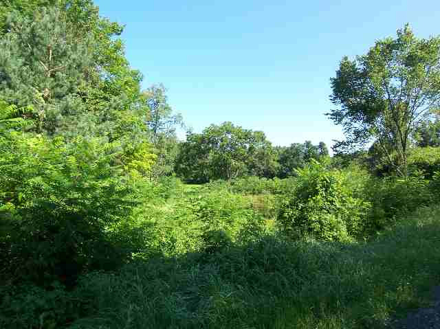 0 Bain Road Argyle, NY 12809 - Photo 5 of 11 Photo 5