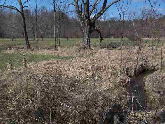 0 Bain Road Argyle, NY 12809 - Photo 6 of 11 Photo 6