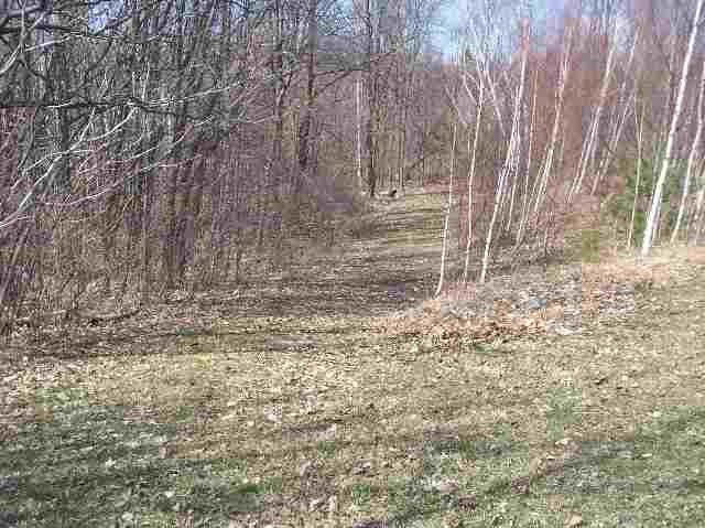 0 Bain Road Argyle, NY 12809 - Photo 8 of 11 Photo 8
