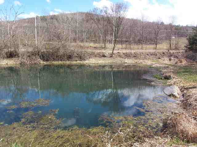 0 Bain Road Argyle, NY 12809 - Photo 10 of 11 Photo 10