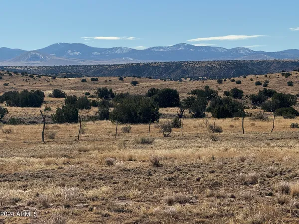 a view of a lake with a mountain