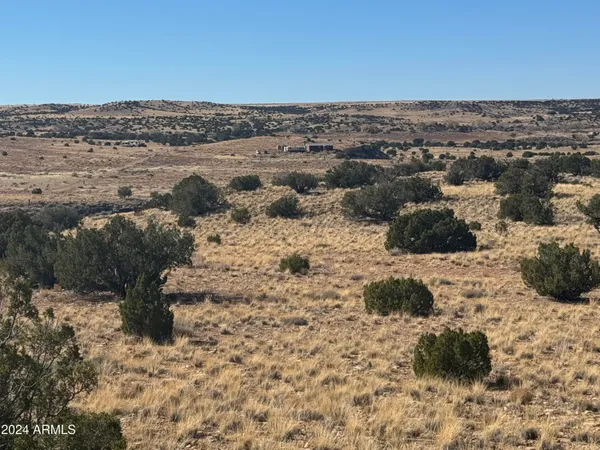 a view of beach and ocean