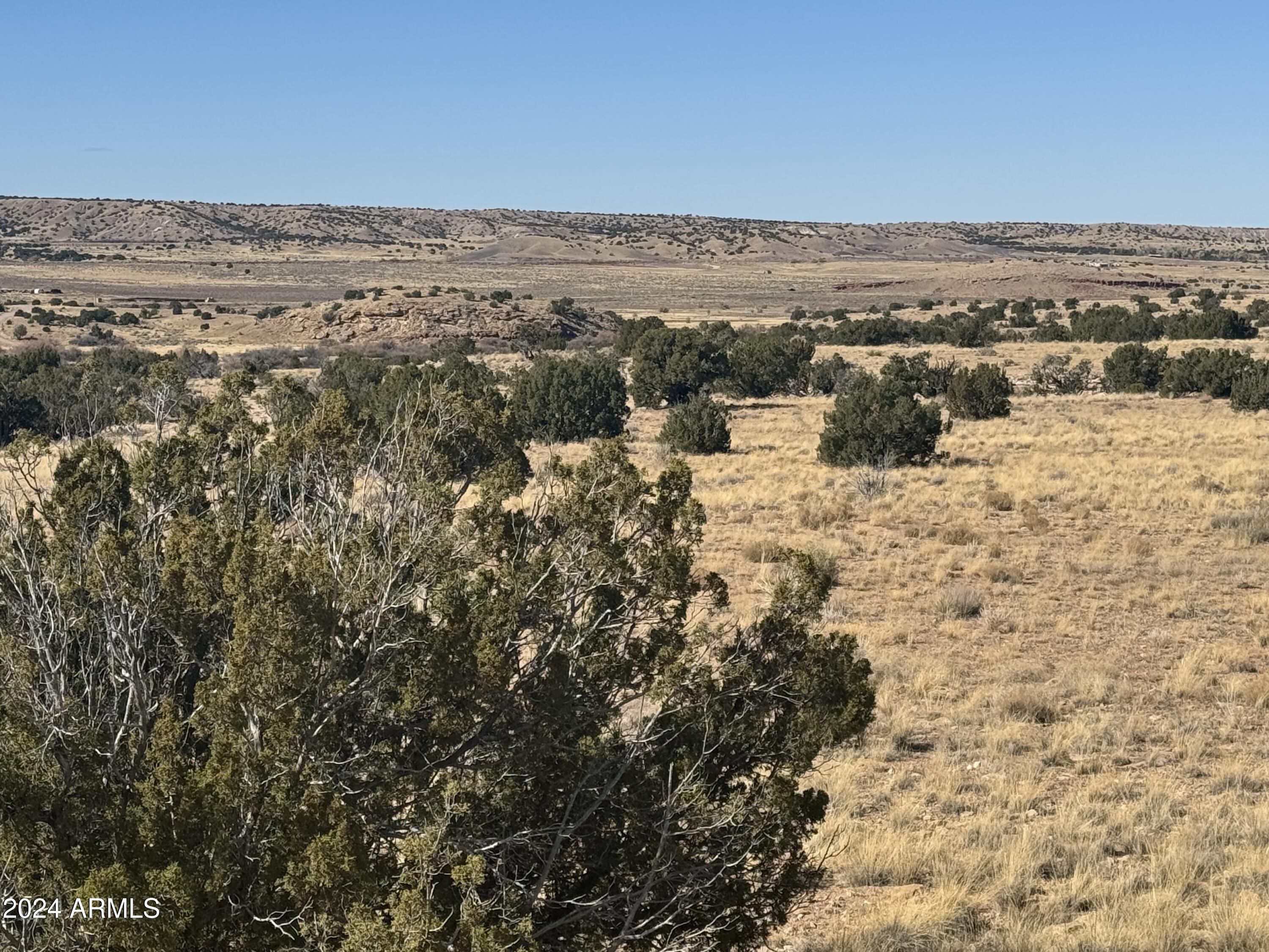 334 River Springs Ranch, Unit 334 St. Johns, AZ 85936 - Photo 4 of 4 IMG_7288
