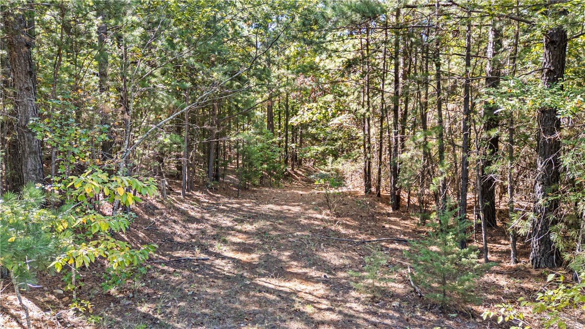 4200 County Road Clarksville, AR 72830 - Photo 11 of 48 Gallery Image 11
