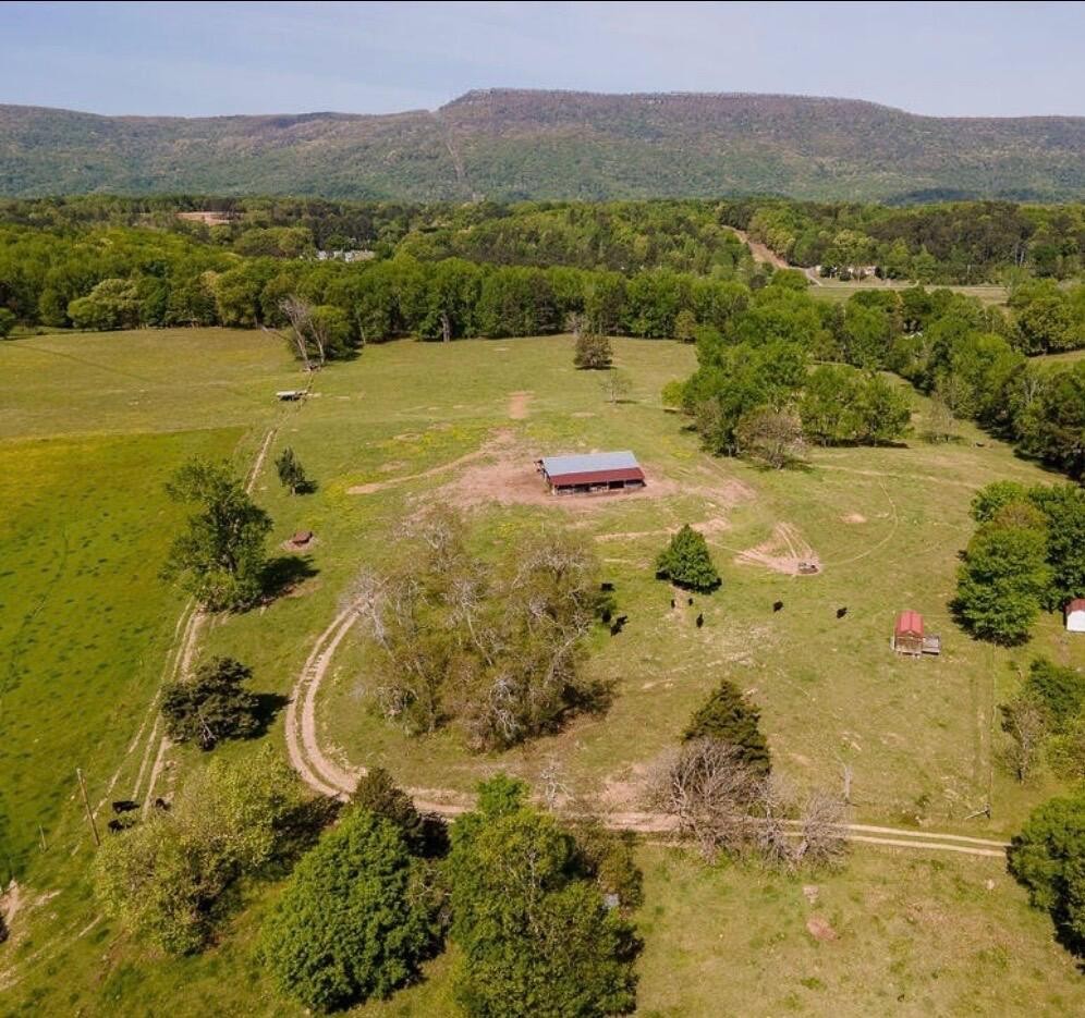 0 Garretts Chapel Road Chickamauga, GA 30707 - Photo 8 of 15 Gallery Image 8