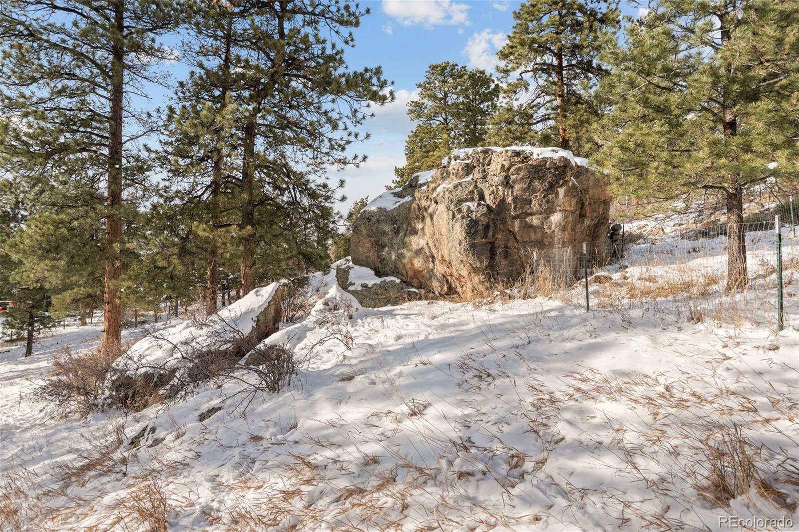 377 Deer Trail Drive Bailey, CO 80421 - Photo 34 of 44 a view of covered with snow