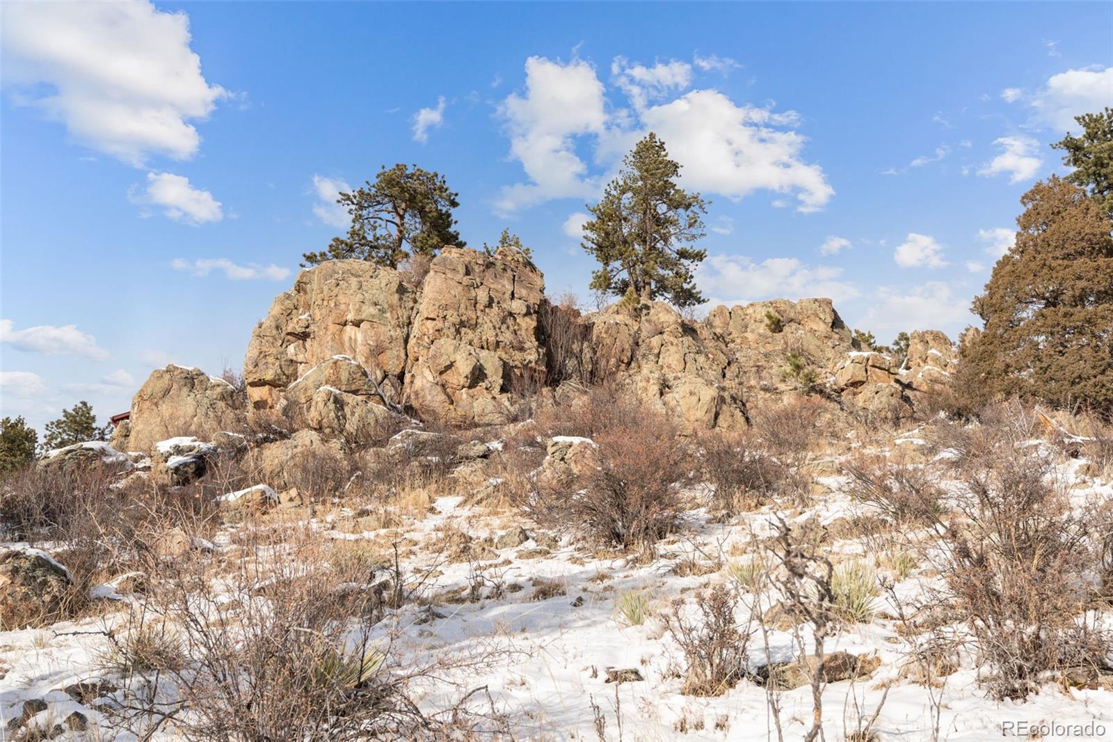 377 Deer Trail Drive Bailey, CO 80421 - Photo 35 of 44 a view of a bunch of trees