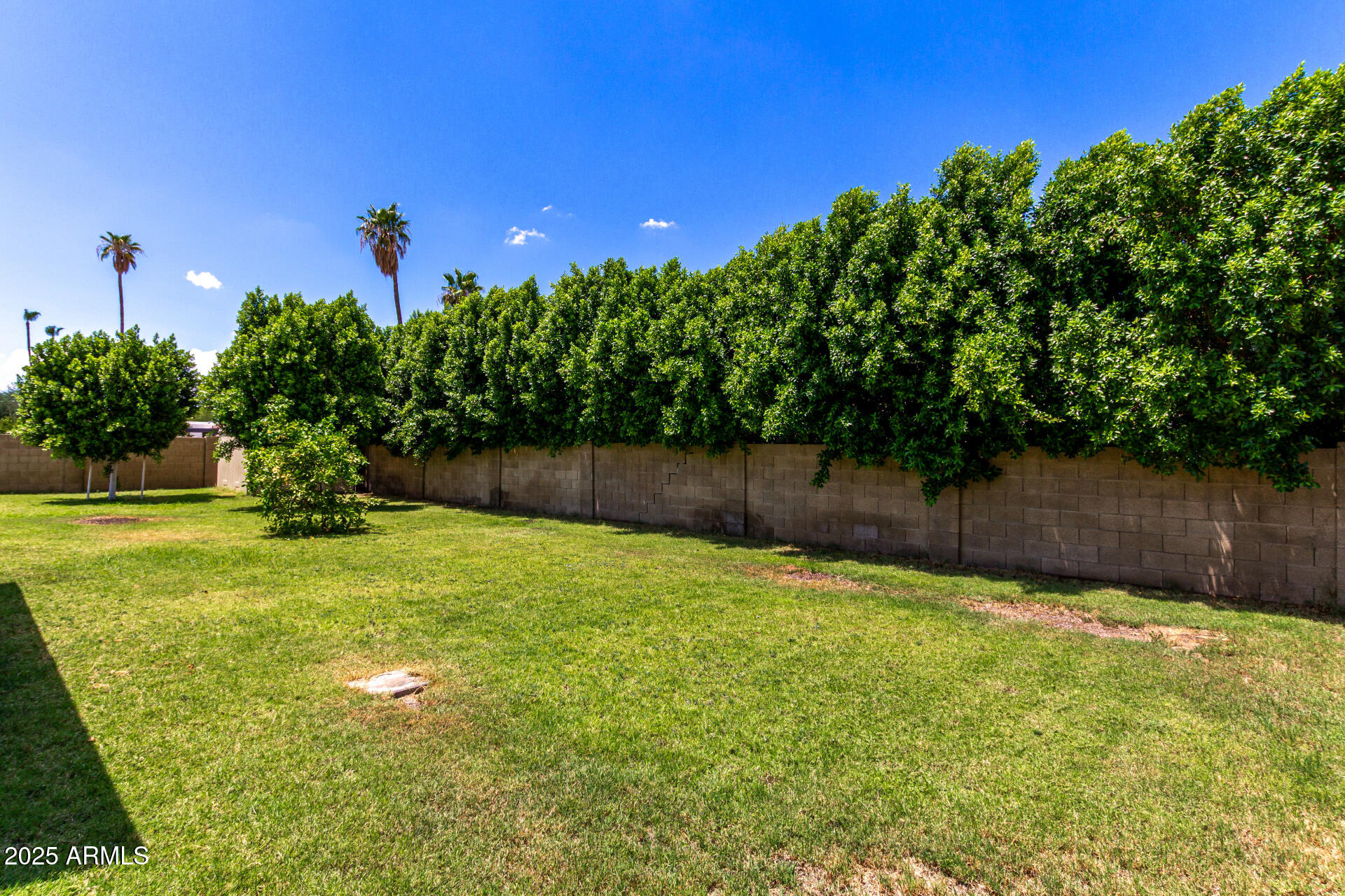 4444 West Evans Drive Glendale, AZ 85306 - Photo 31 of 35 a view of a backyard