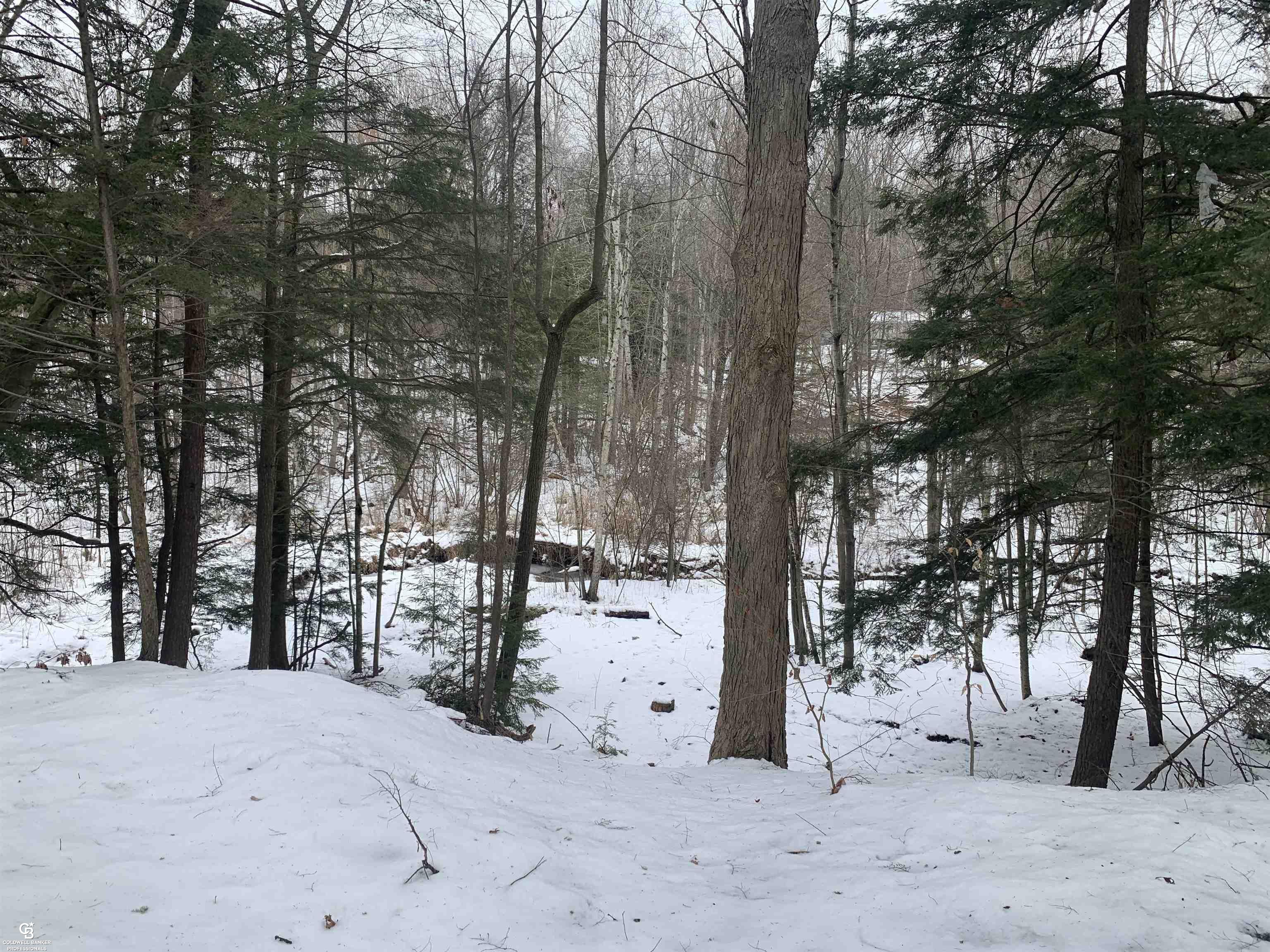 7366 Rynn Road North Street, MI 48049 - Photo 10 of 24