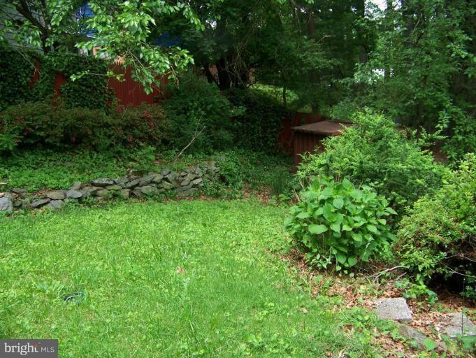 11104 Bybee Street Silver Spring, MD 20902 - Photo 7 of 10 Garden