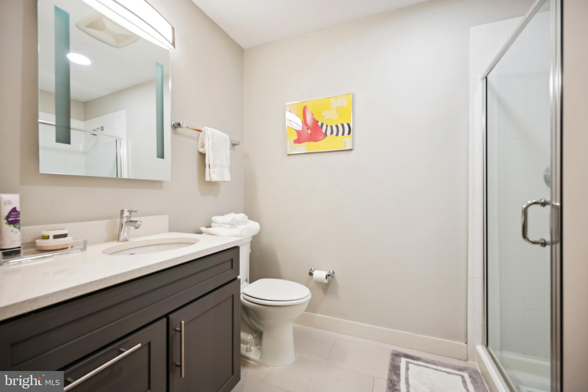 1320 Fenwick Lane, Unit 609 Silver Spring, MD 20910 - Photo 19 of 46 Bathroom