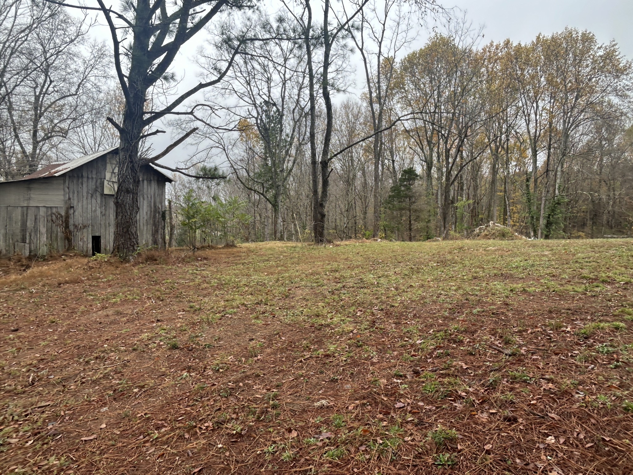 9420 Big Spring Creek Road Bon Aqua, TN 37025 - Photo 3 of 14 Gallery Image 3