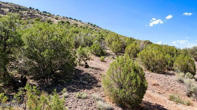 $119,000 | 0 West Flycatcher Lane, Prescott, AZ 86305