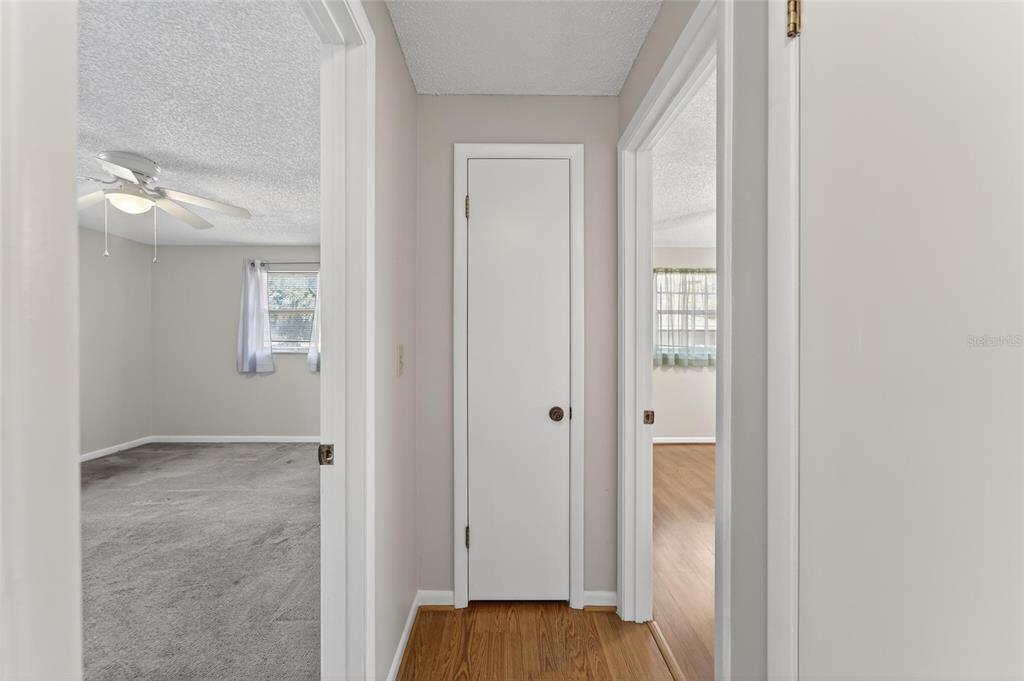 7333 Andre Drive Zephyrhills, FL 33541 - Photo 25 of 49