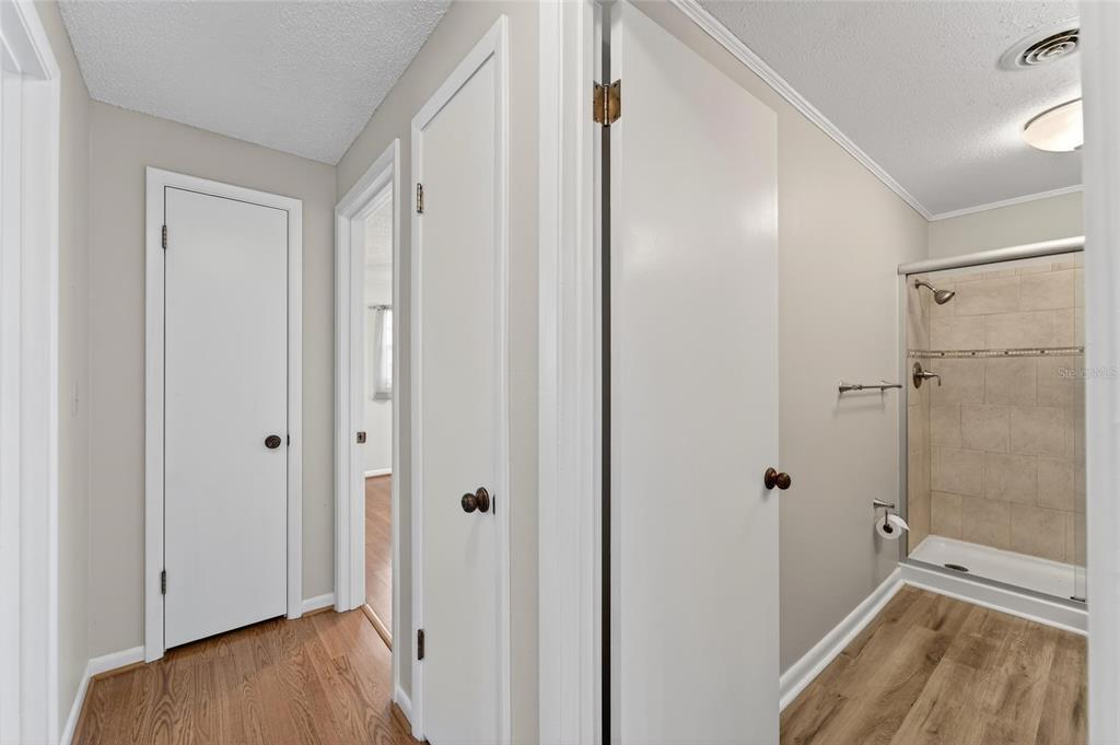 7333 Andre Drive Zephyrhills, FL 33541 - Photo 26 of 49