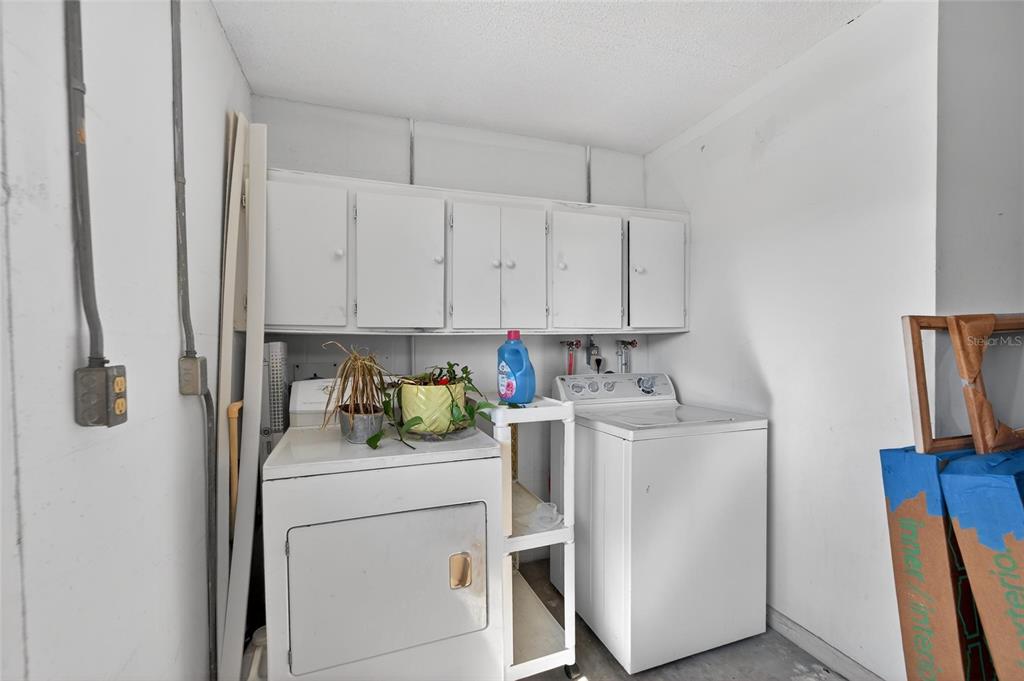 7333 Andre Drive Zephyrhills, FL 33541 - Photo 36 of 49