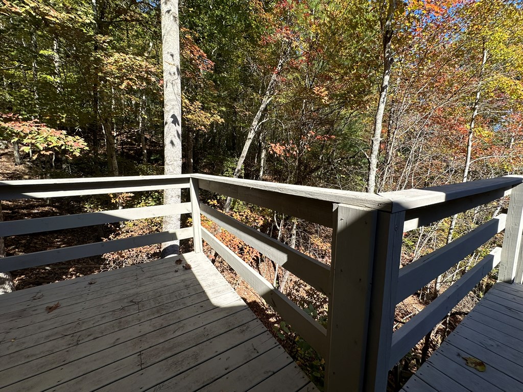 34 Uphill Road Blue Ridge, GA 30513 - Photo 49 of 83 Gallery Image 49