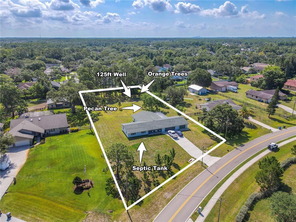 12220 Twin Branch Acres Road Tampa, FL 33626 - Photo 3 of 53