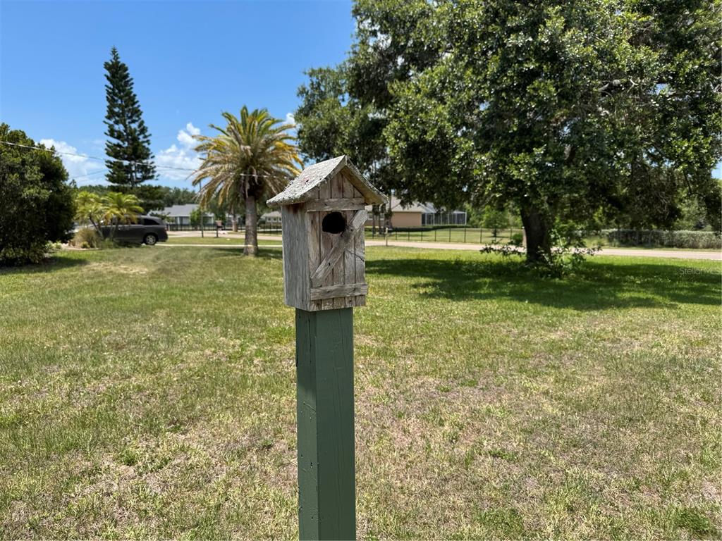 12220 Twin Branch Acres Road Tampa, FL 33626 - Photo 42 of 53