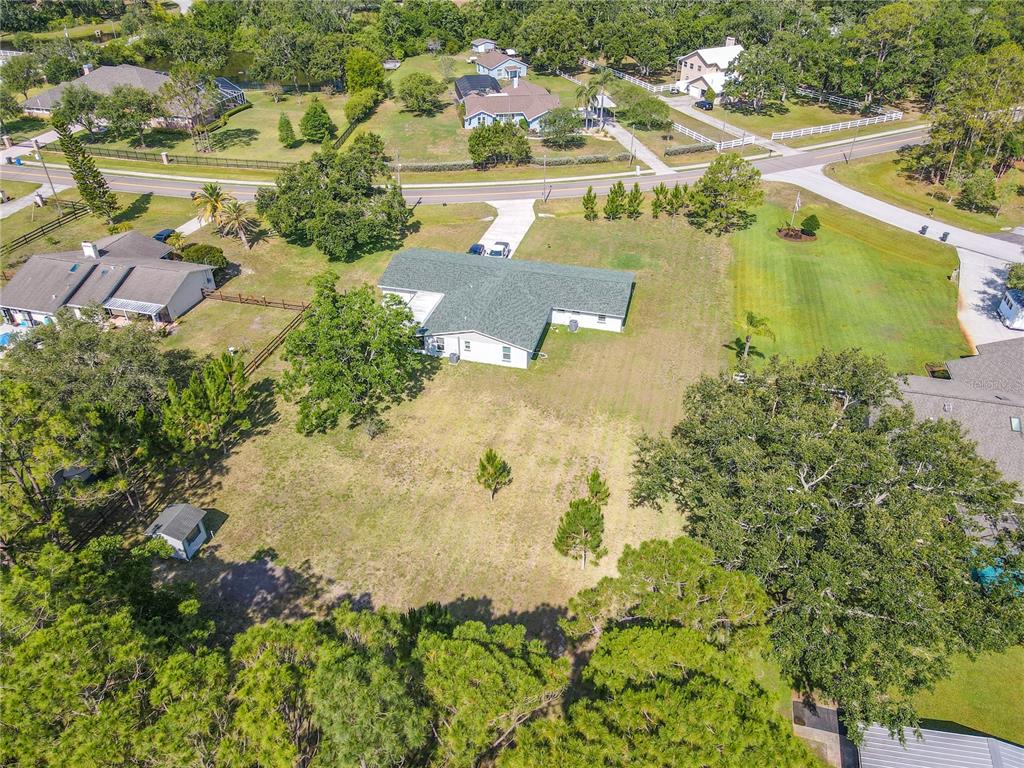 12220 Twin Branch Acres Road Tampa, FL 33626 - Photo 45 of 52