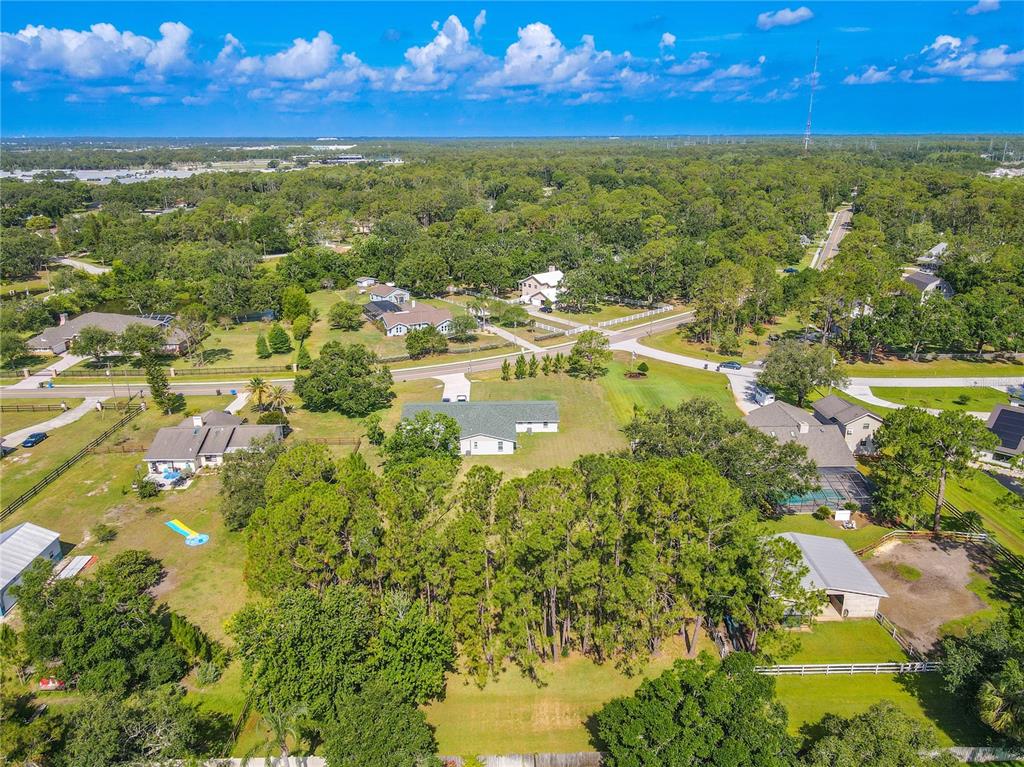 12220 Twin Branch Acres Road Tampa, FL 33626 - Photo 46 of 52