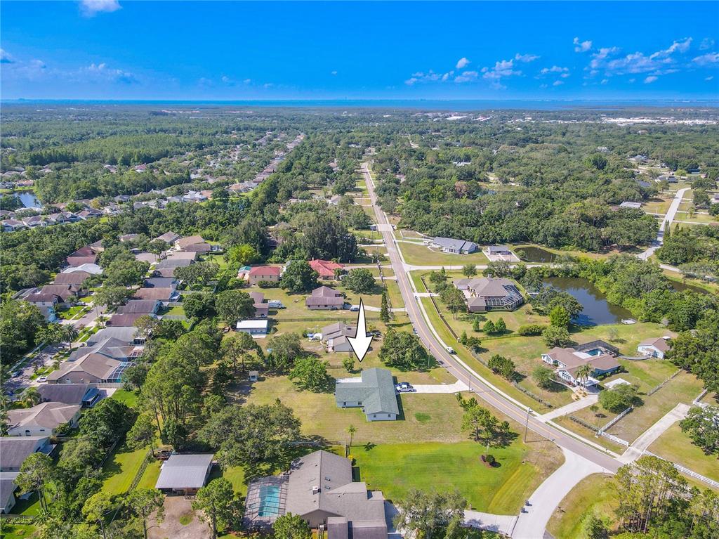 12220 Twin Branch Acres Road Tampa, FL 33626 - Photo 47 of 52