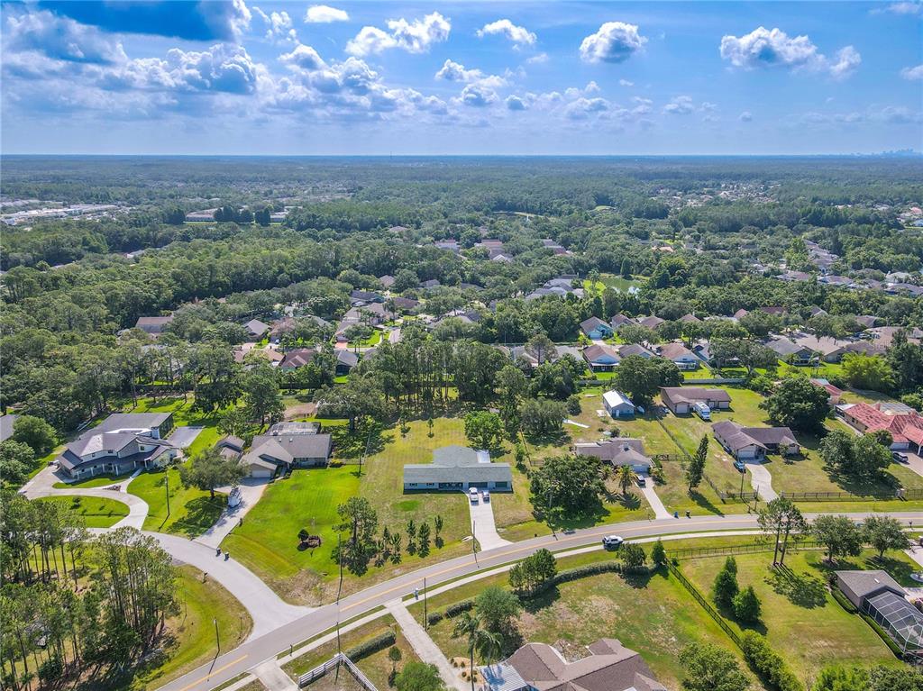 12220 Twin Branch Acres Road Tampa, FL 33626 - Photo 49 of 53