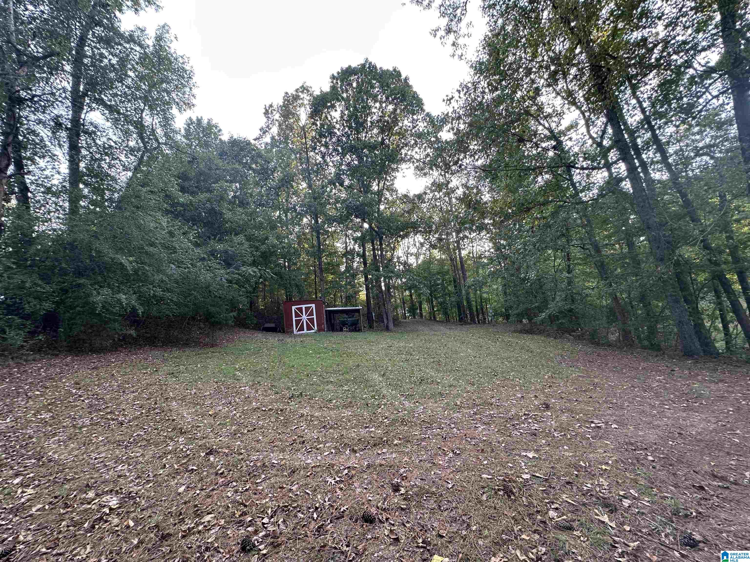 98 Lonesome Pne Road Riverside, AL 35135 - Photo 66 of 67