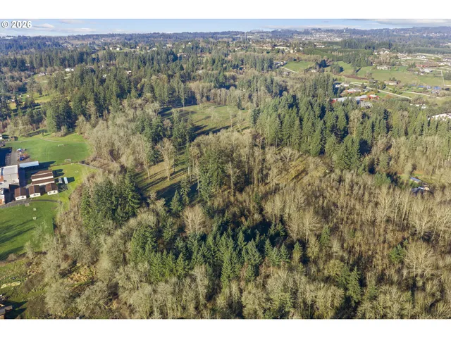 a view of a city with lush green forest