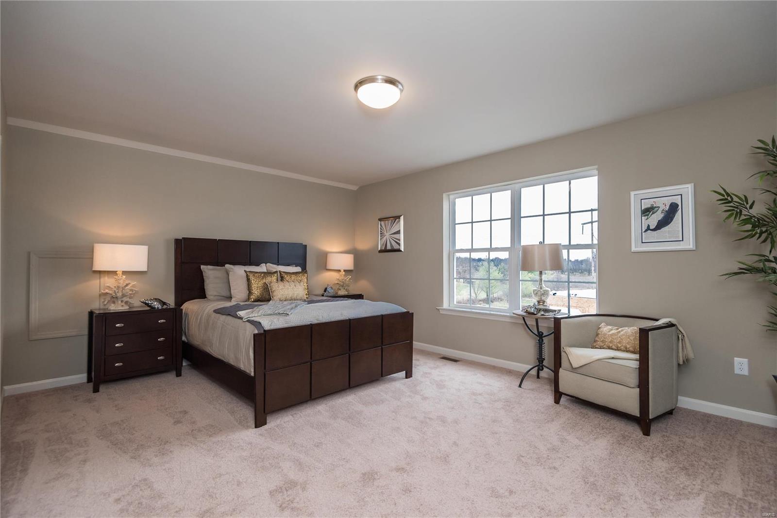 1 Parker @ Ryehill Manor Street St. Peters, MO 63376 - Photo 12 of 22