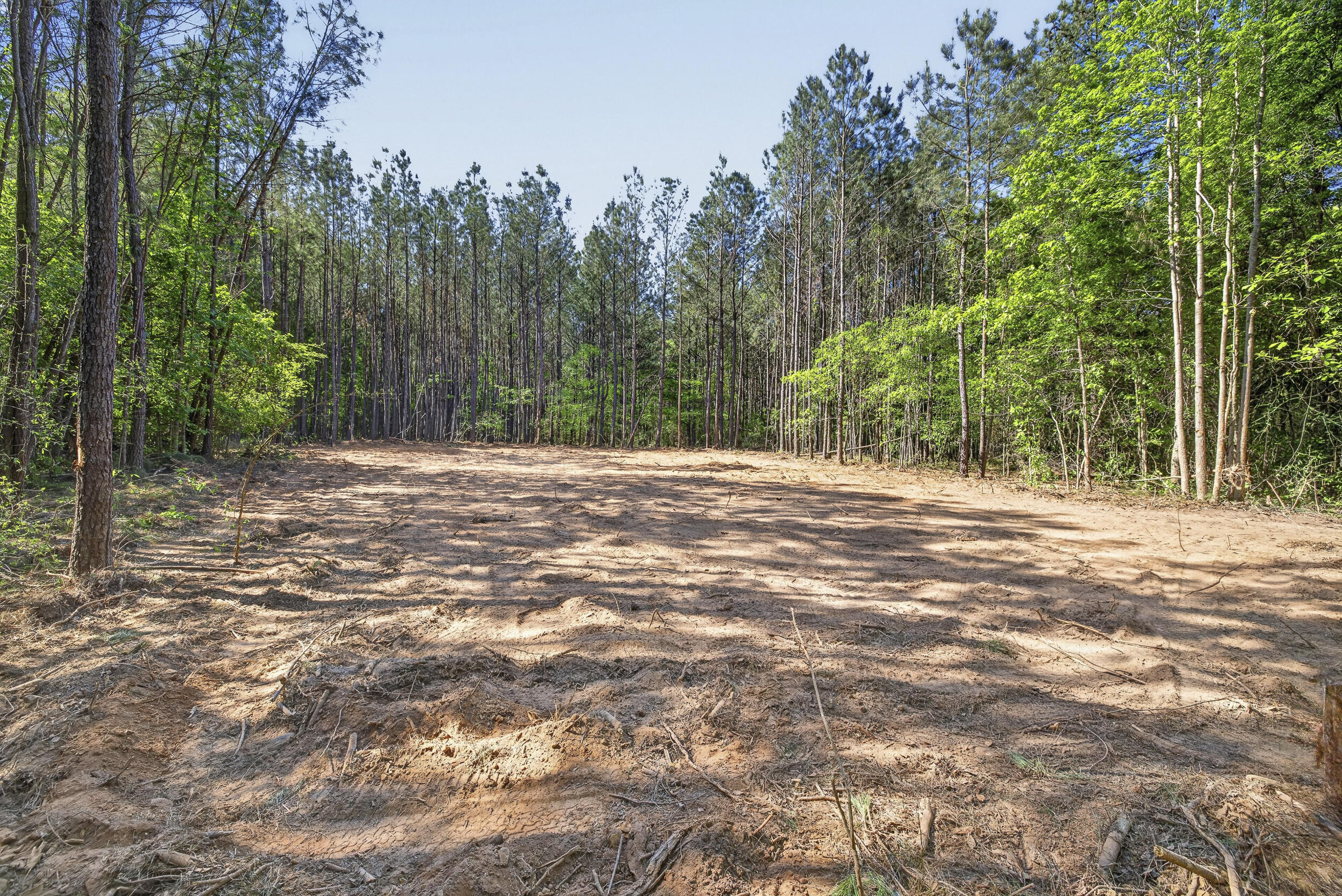800 Currytown Road North Augusta, SC 29860 - Photo 13 of 29 15_r6ii2537-edit