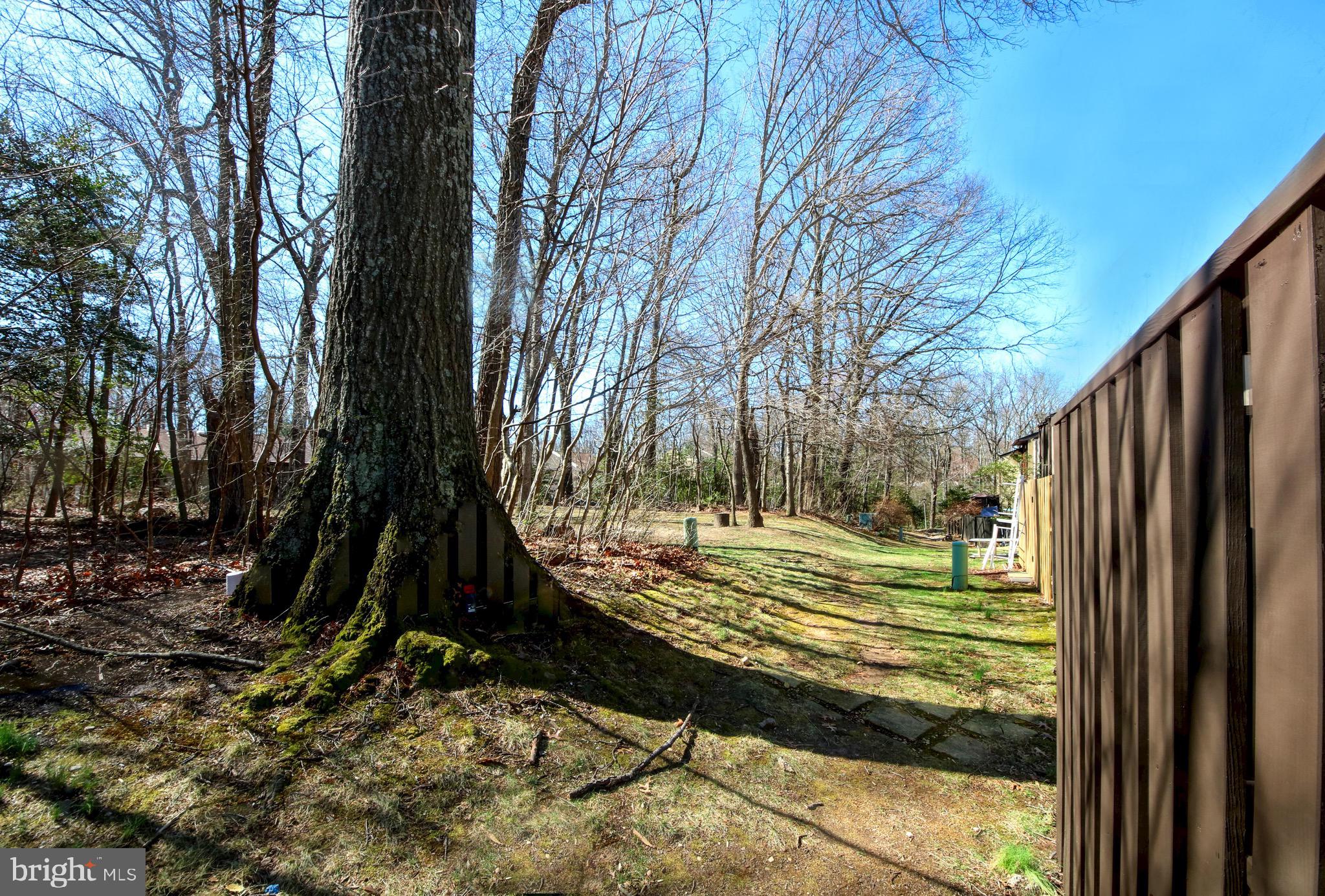 2235 Cartwright Place Reston, VA 20191 - Photo 25 of 43 Backs to trees