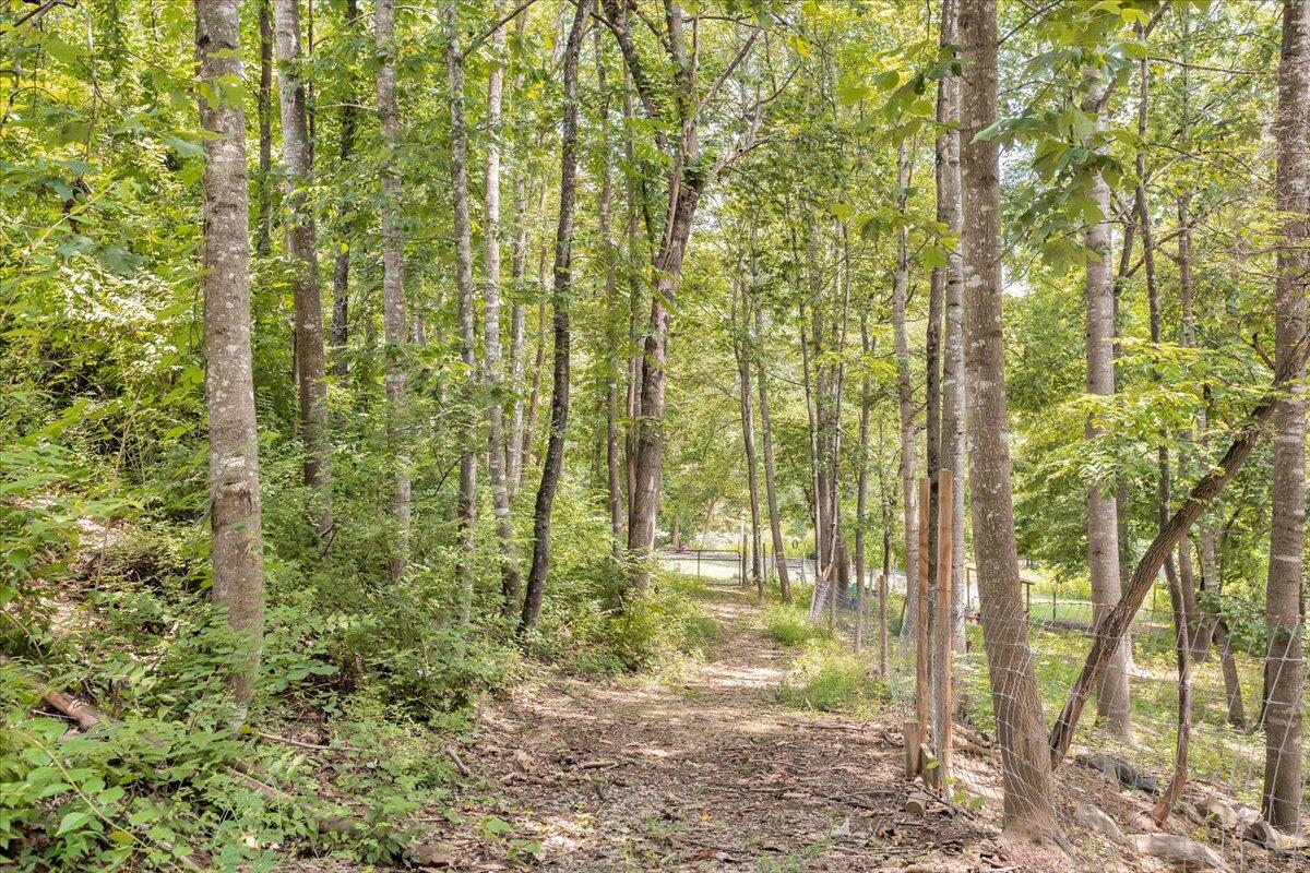 1059 Stonewall Road Blue Ridge, VA 24064 - Photo 26 of 33 33-1059 Stonewall Rd_33