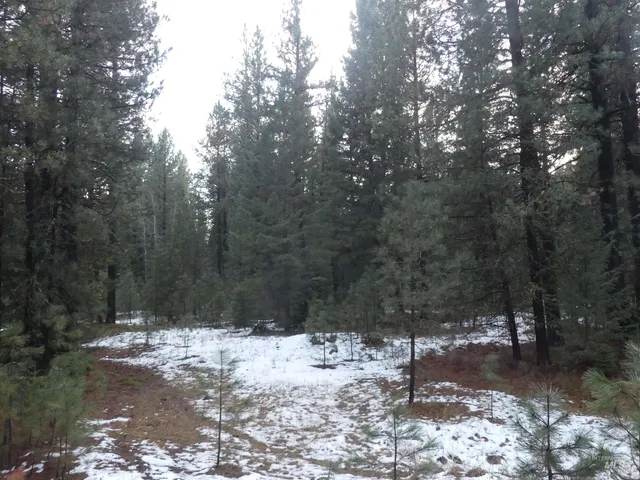 $529,000 | Lot 31 Round Valley Road, New Meadows, ID 83654