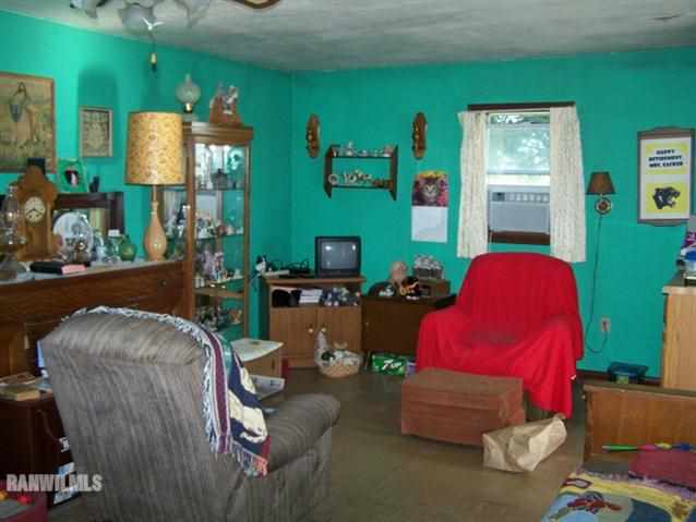 13991 West Howardsville Road Lena, IL 61048 - Photo 5 of 8 Gallery Image 5