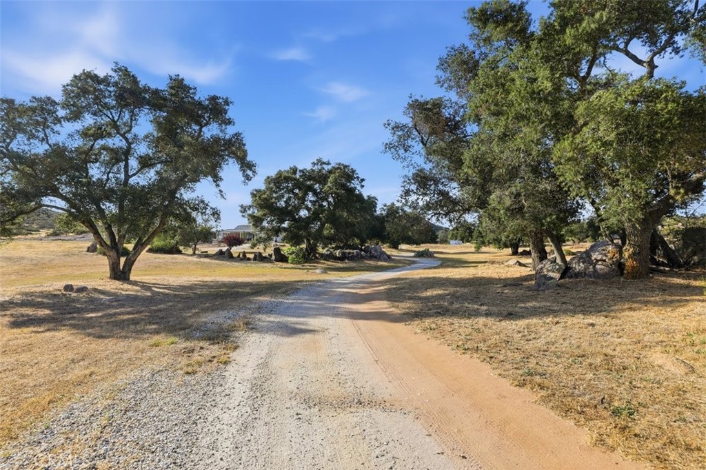 34575 Sycamore Springs Road Hemet, CA 92544 - Photo 37 of 65 All usable land