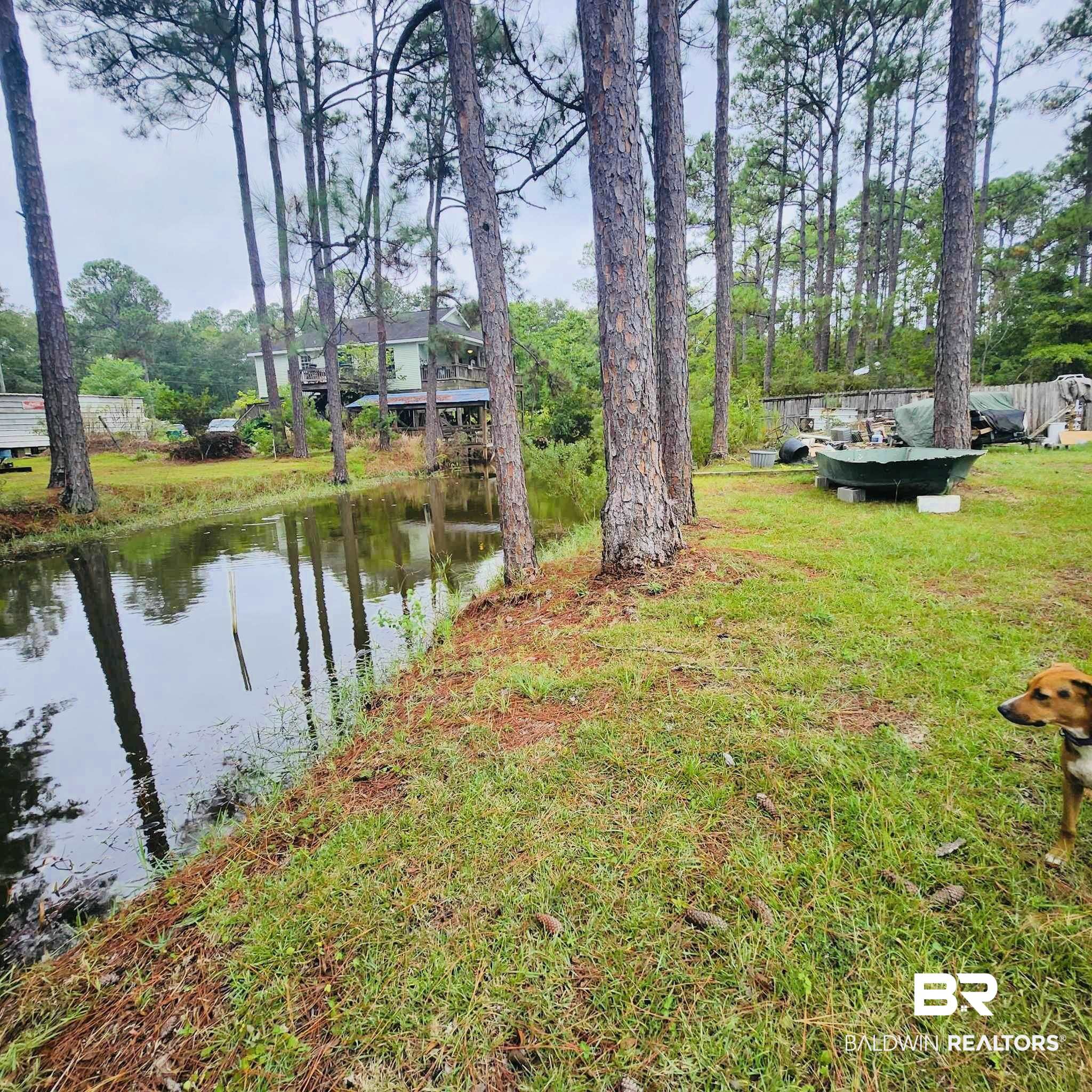 3893 Highway 188 Coden, AL 36523 - Photo 2 of 3 Heron Bayou- Back yard