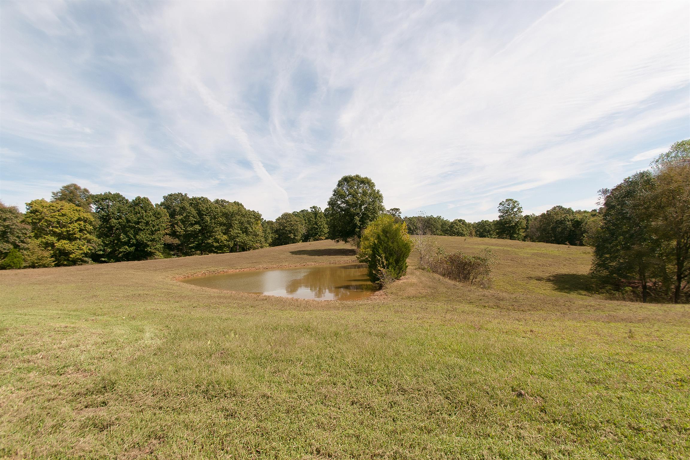 1830 Fortner Road Dickson, TN 37055 - Photo 14 of 23 Spring fed pond located inside pasture fencing