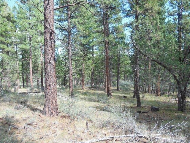 17785 Wilt Road Sisters, OR 97759 - Photo 10 of 25 a view of a forest filled with trees
