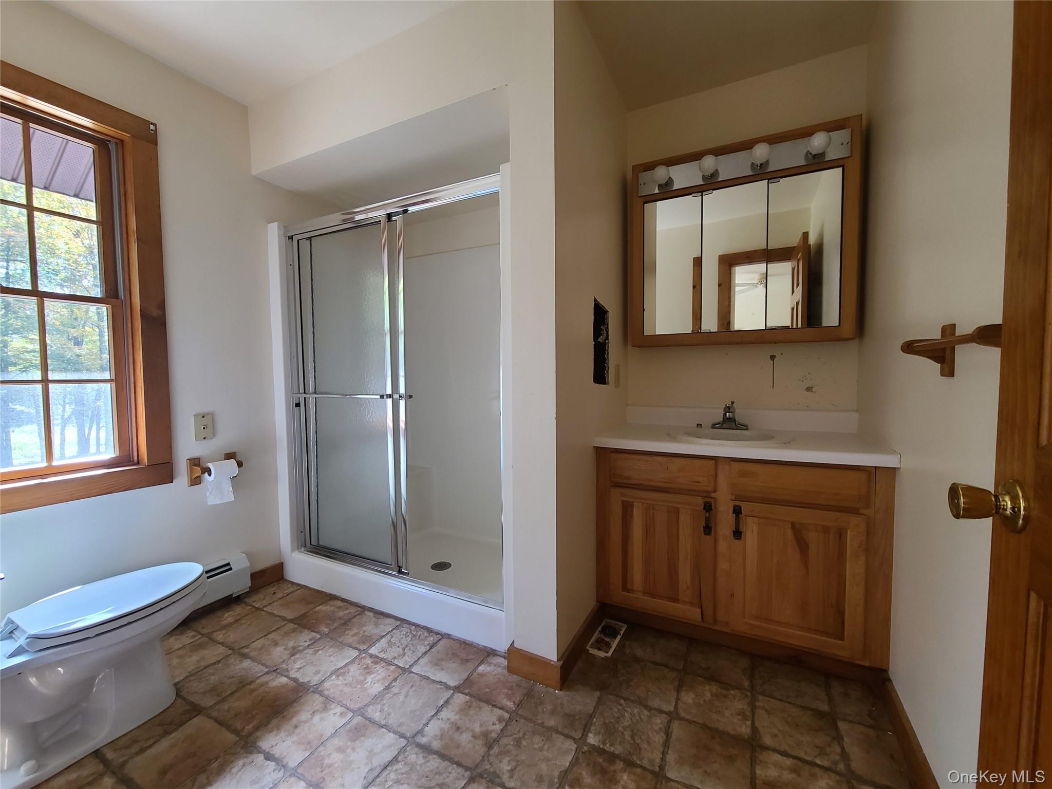 118 Hilltop Road Monticello, NY 12701 - Photo 18 of 45 a bathroom with a sink a toilet and shower