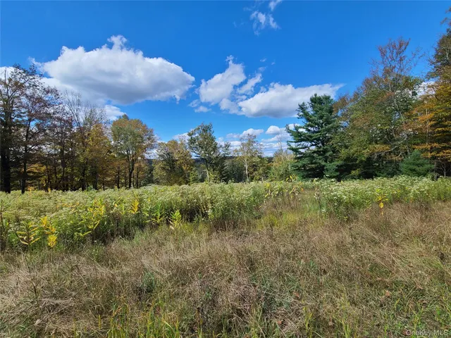 a view of a yard with a tree