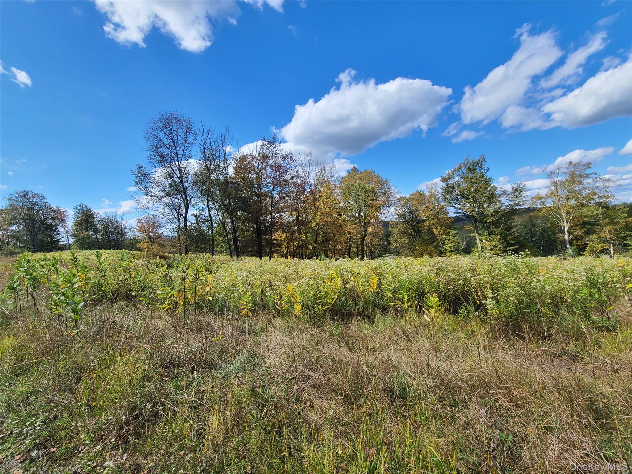 118 Hilltop Road Monticello, NY 12701 - Photo 28 of 45