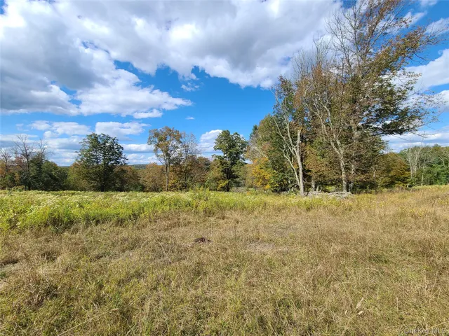 $3,095,000 | 118 Hilltop Road, Monticello, NY 12701