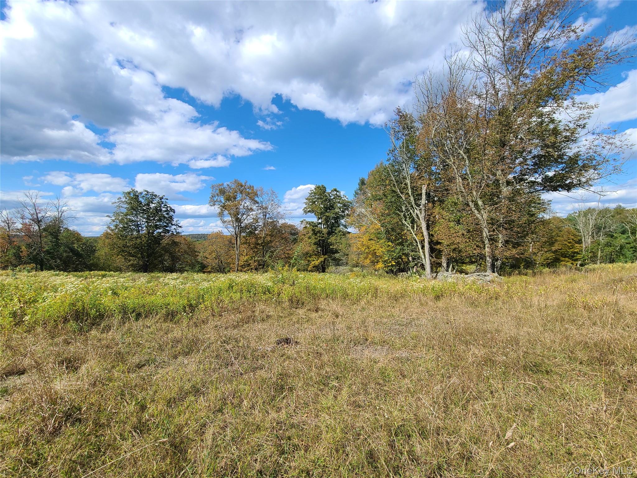 118 Hilltop Road Monticello, NY 12701 - Photo 30 of 45 a view of an outdoor space and yard