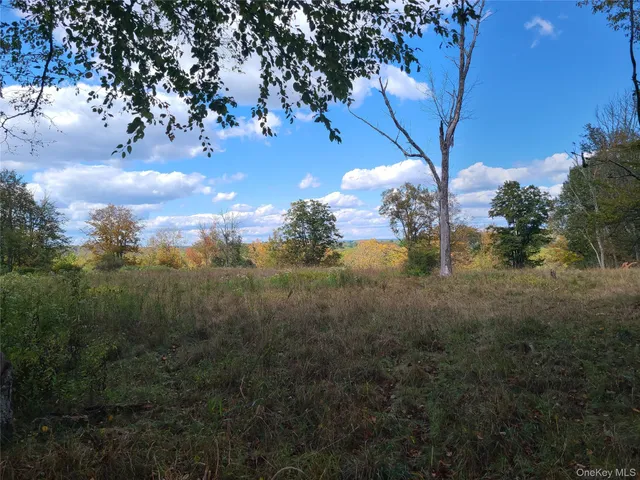 a view of a livingroom with furniture window and wooden floor