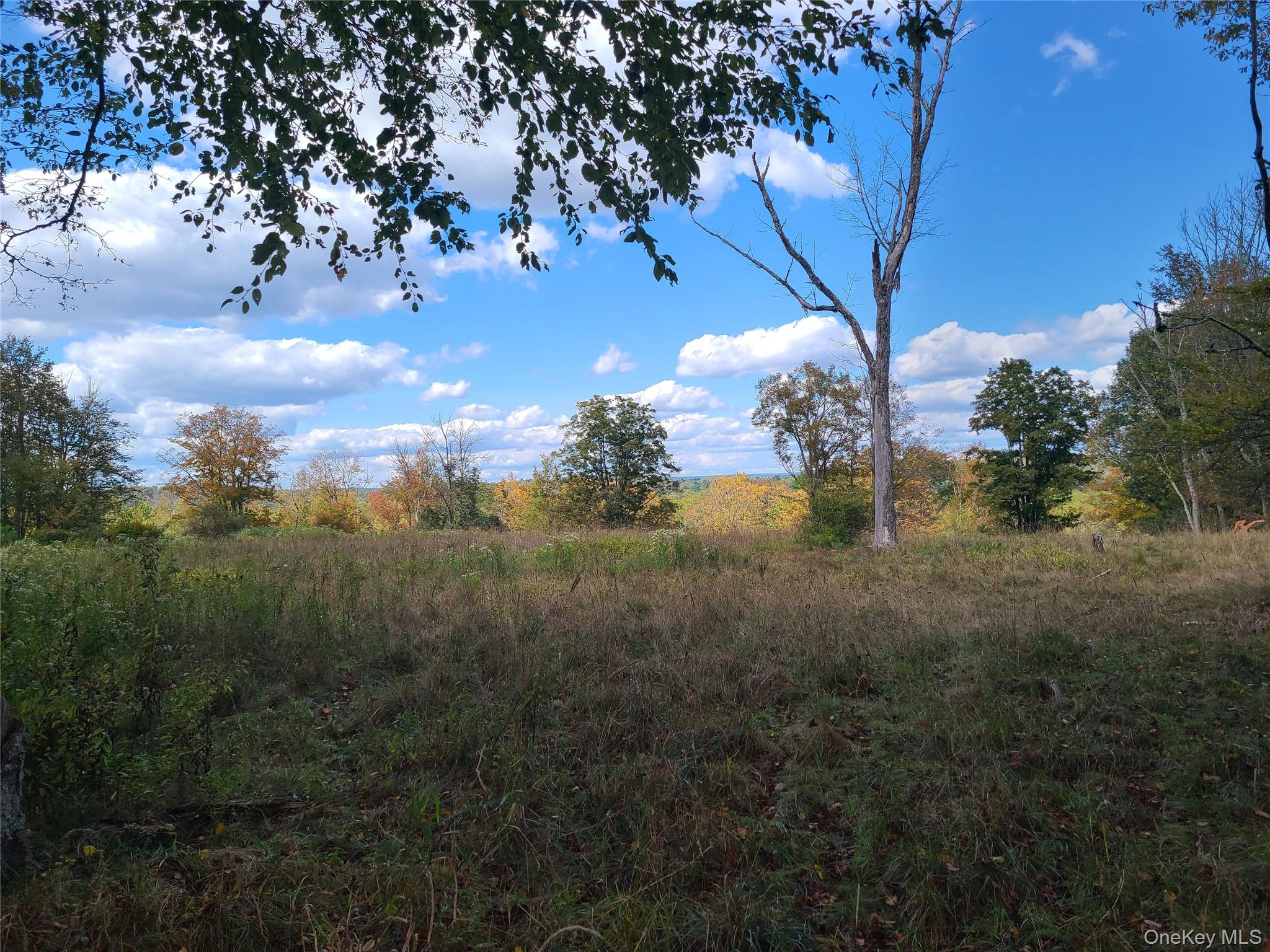 118 Hilltop Road Monticello, NY 12701 - Photo 3 of 45 a view of a yard with lots of green space