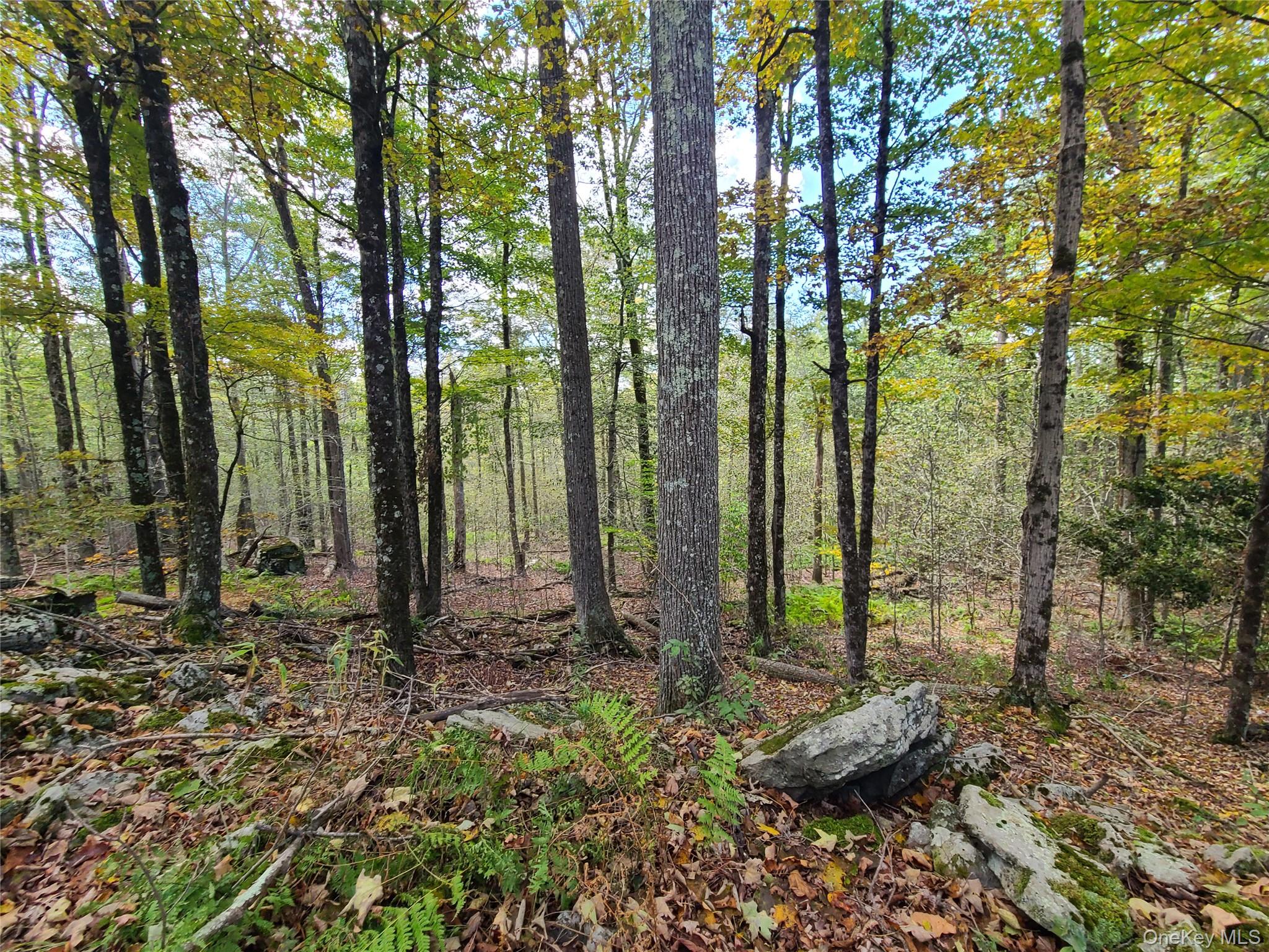 118 Hilltop Road Monticello, NY 12701 - Photo 31 of 45 a view of backyard with green space