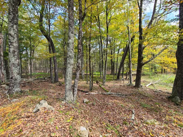 $3,095,000 | 118 Hilltop Road, Monticello, NY 12701